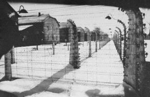 Grozno koncentracijsko taborišče Dachau