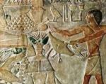 Захоронение фараона. Ритуал погребения. О чем говорят мужчины