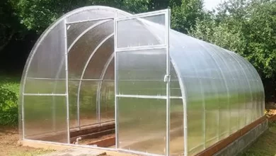 Photo of Szklarnie ogrodowe z poliwęglanu – nowoczesne rozwiązania od Profimet